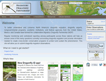 Tablet Screenshot of migratorydragonflypartnership.org